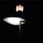 OnePlus 6 Fotocamera