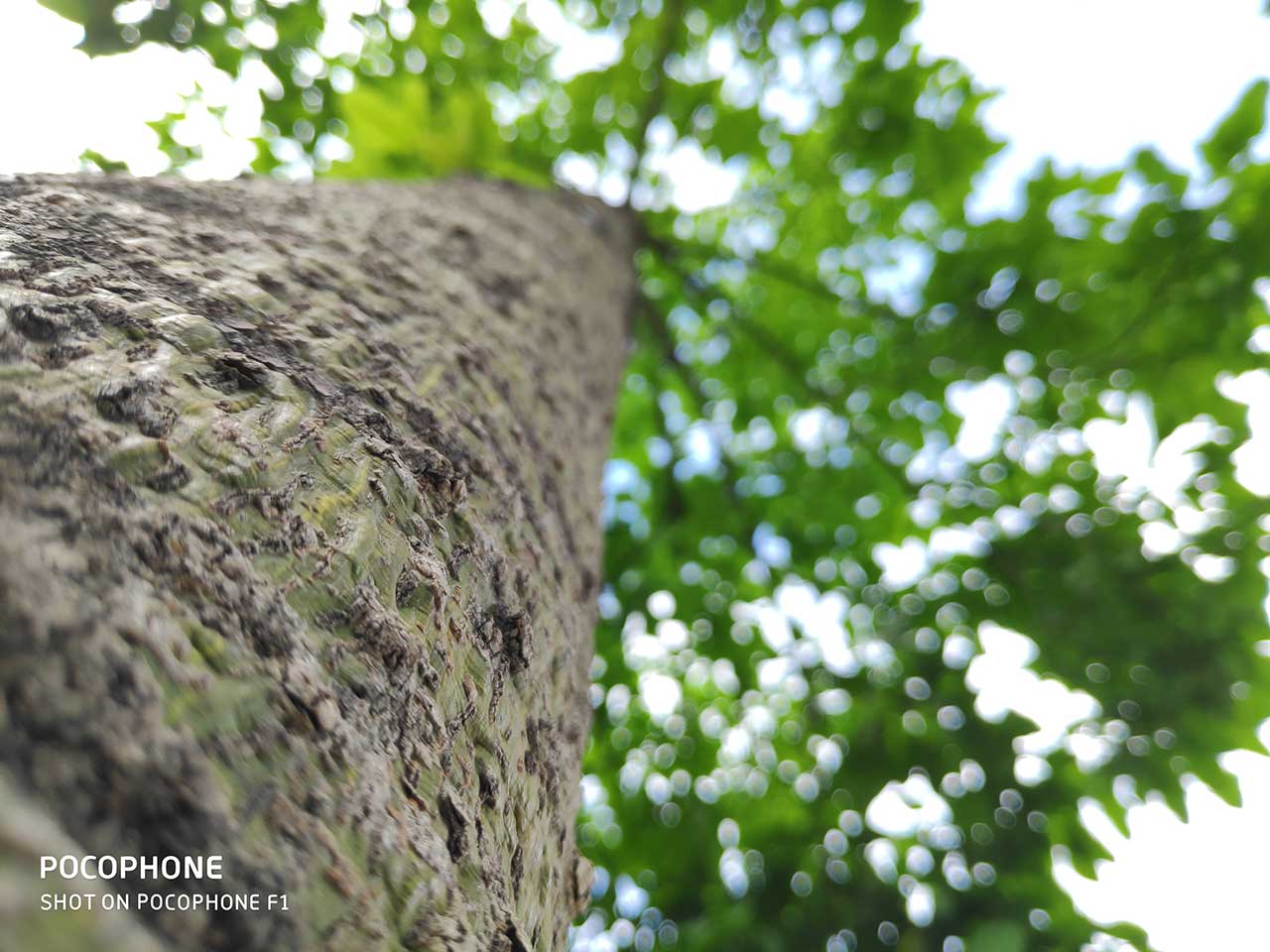pocophone f1 fotocamera