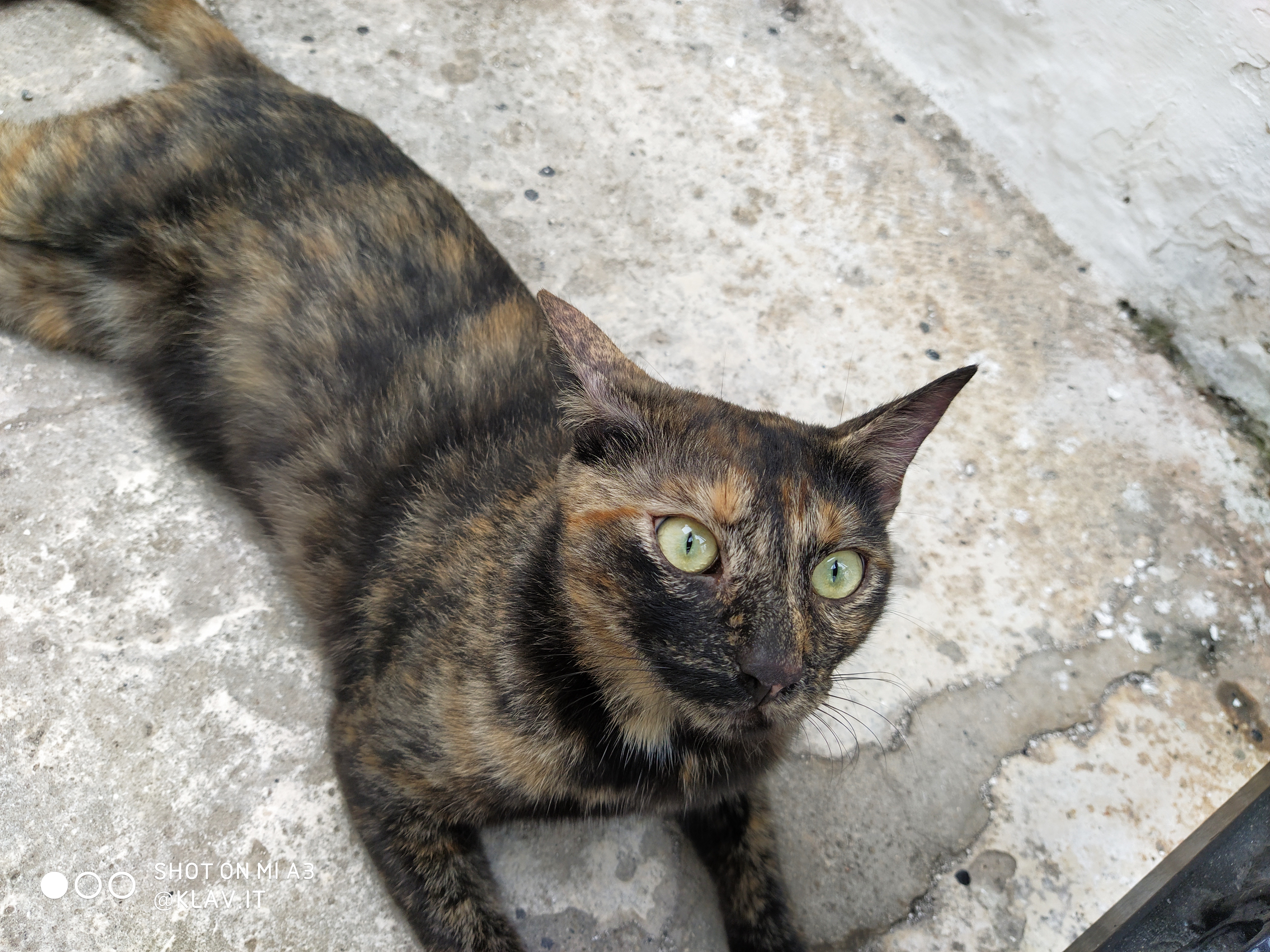 test fotocamera xiaomi mi a3