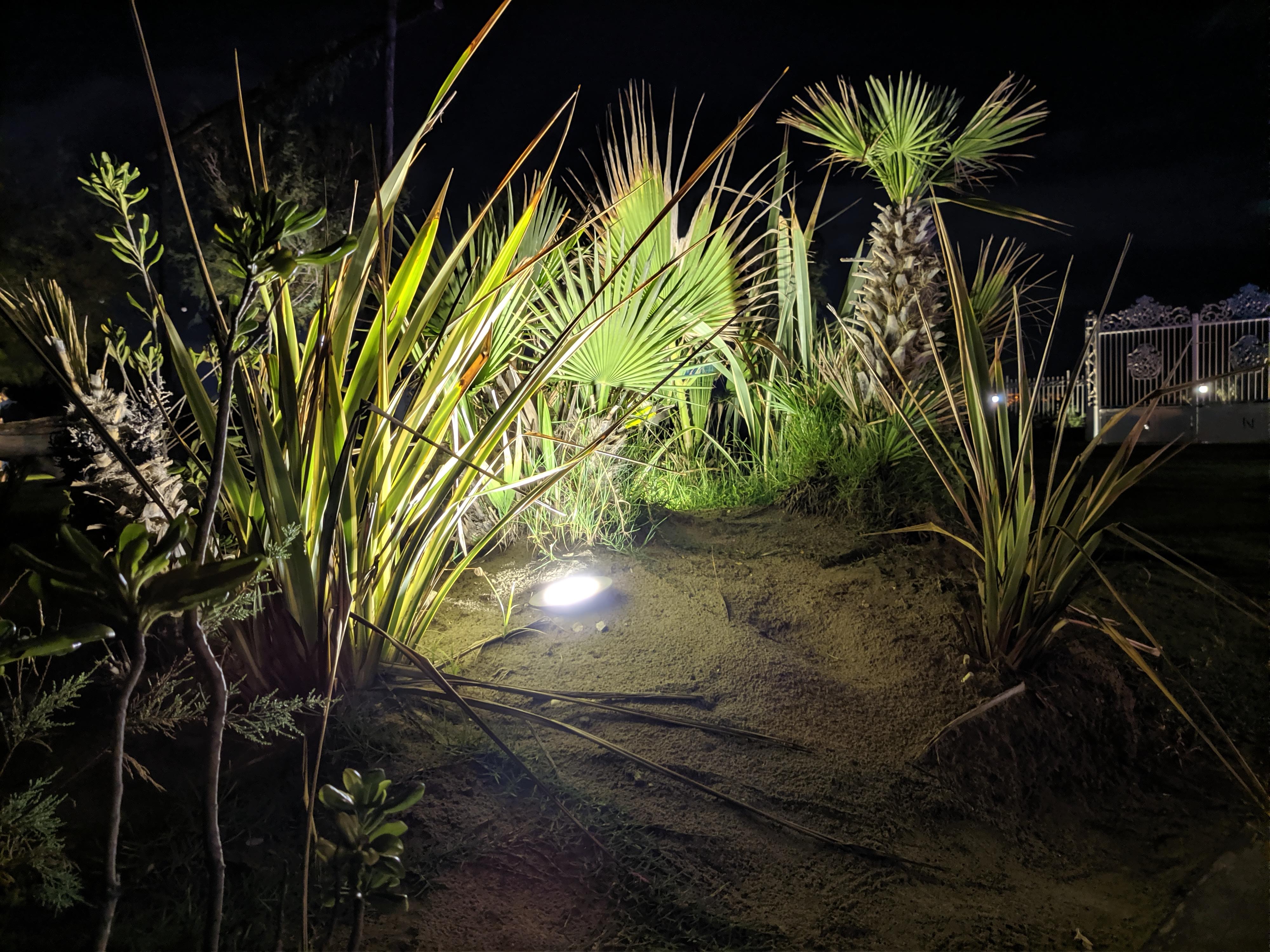 xiaomi mi 9 test fotocamera