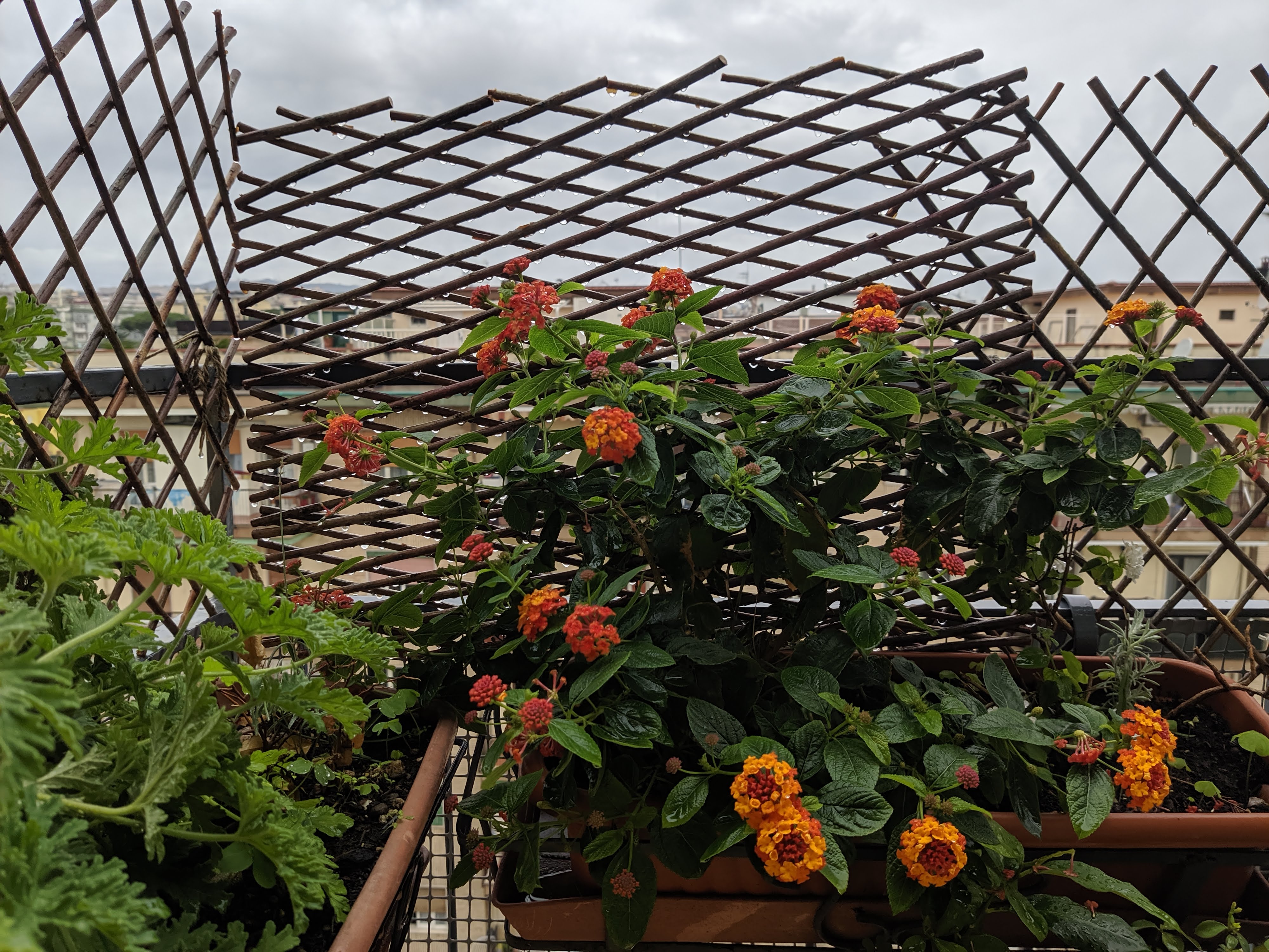 xiaomi mi 9 test fotocamera