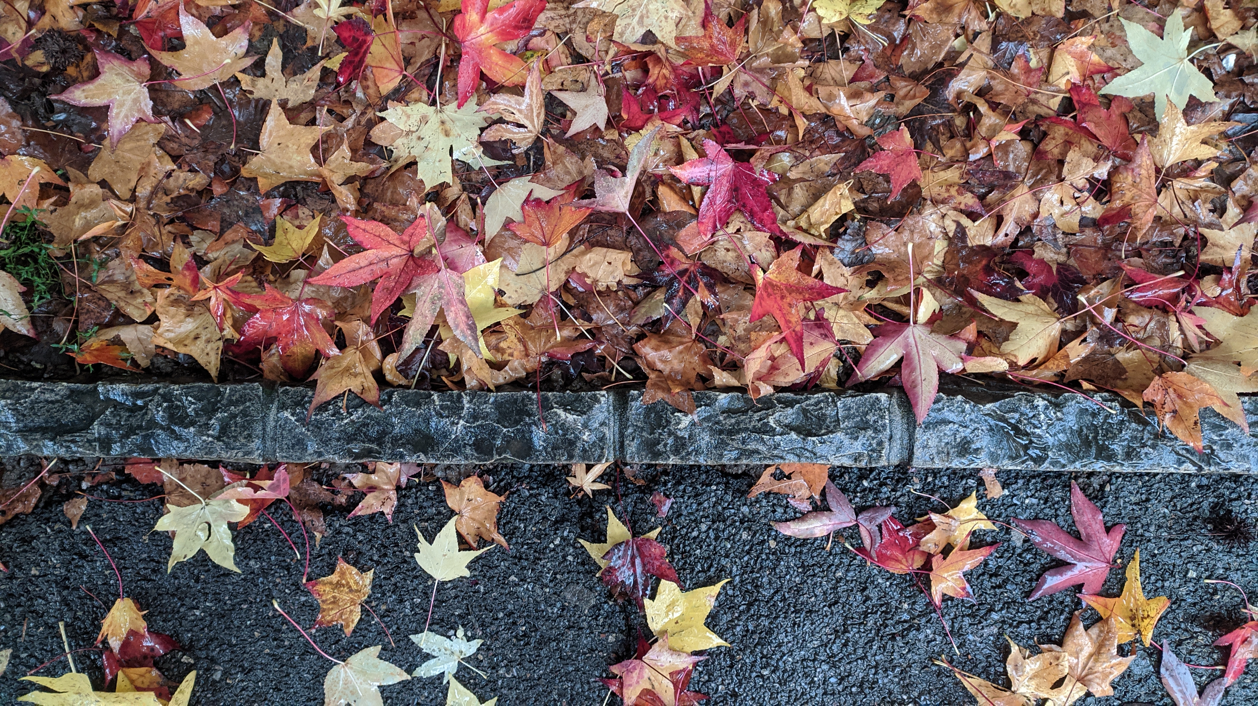 redmi note 8 sample foto outdoor