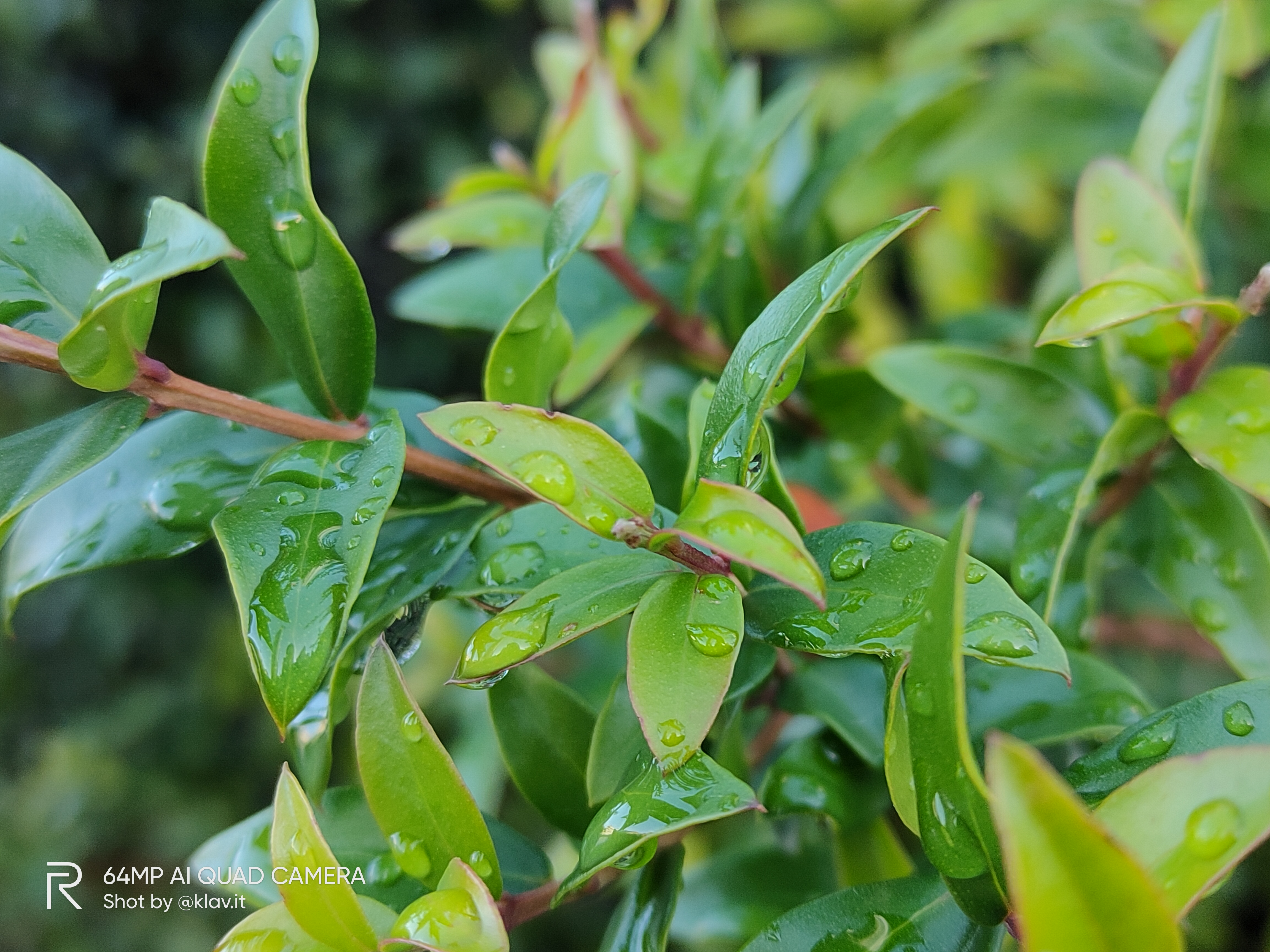 realme xt sample foto