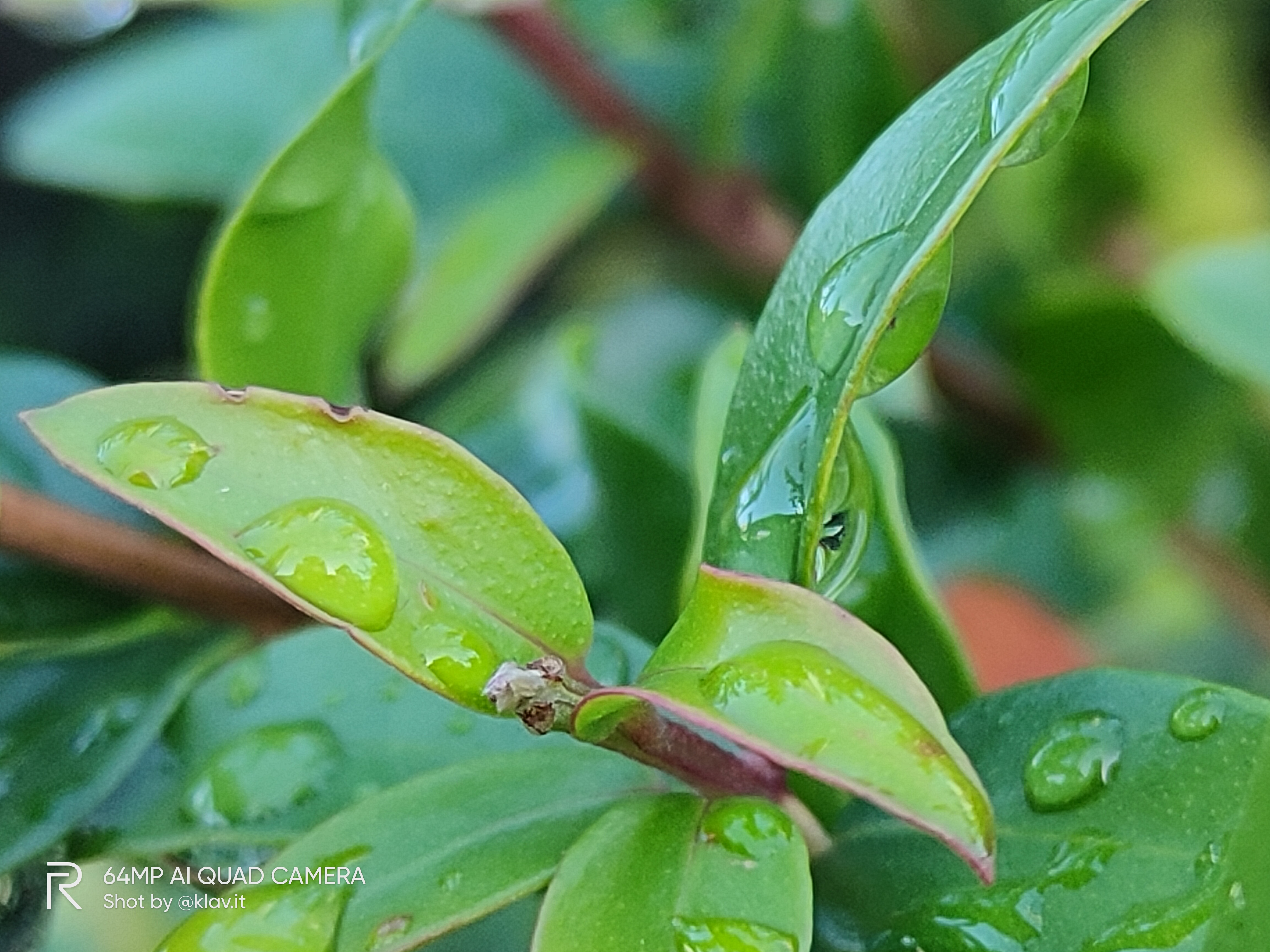 realme xt sample foto