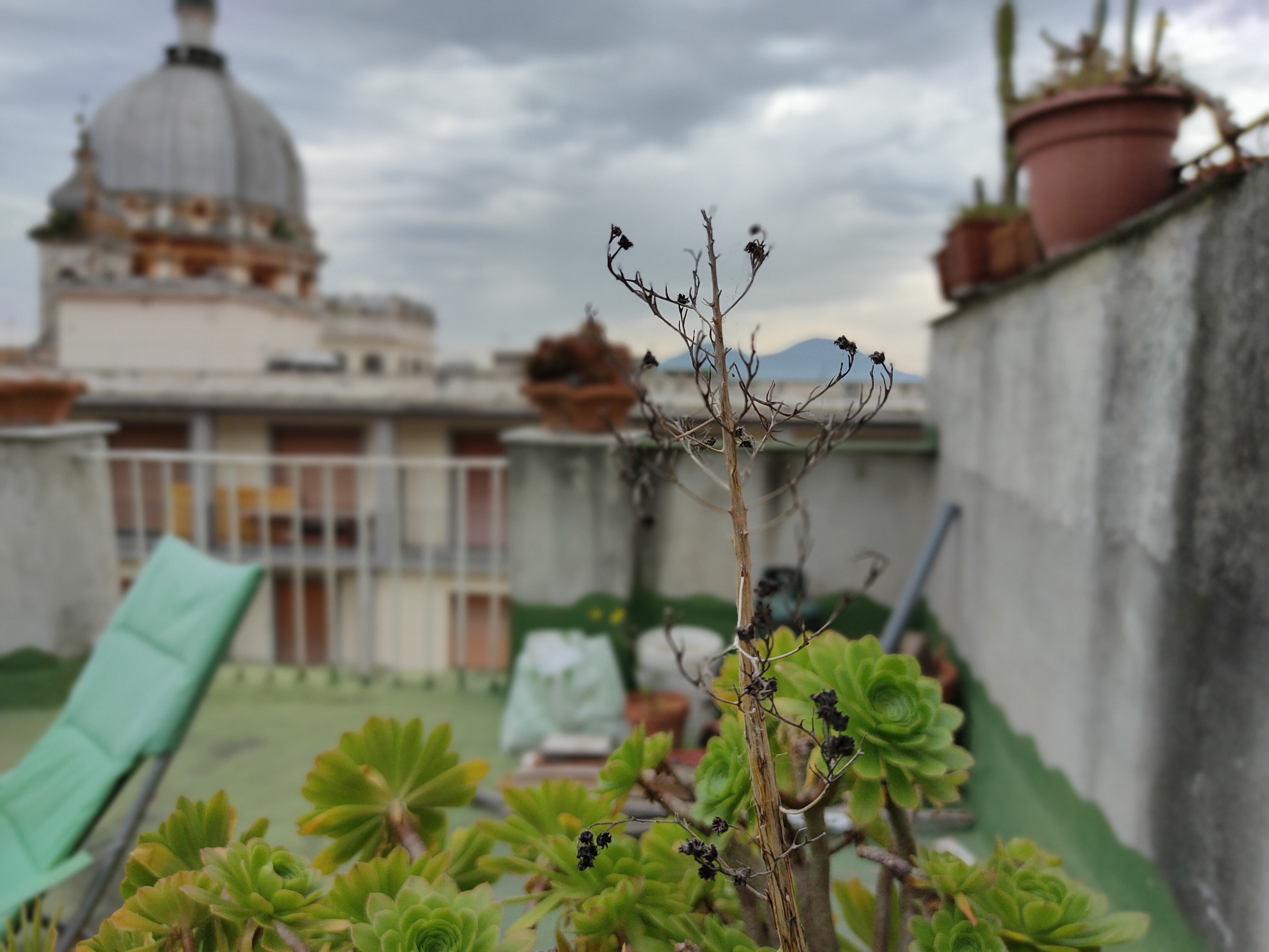 realme 6 pro sample foto bokeh
