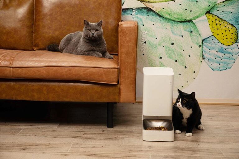 Xiaomi Smart Per Food Feeder