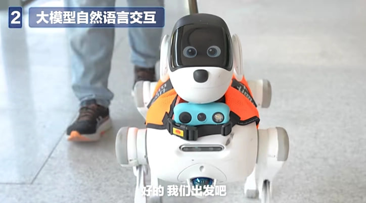 China Mobile Lingxi Cane Guida