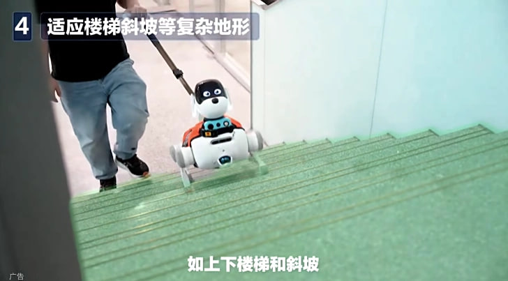 China Mobile Lingxi Cane Guida