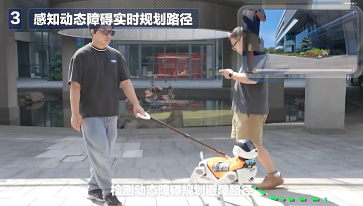 China Mobile Lingxi Cane Guida