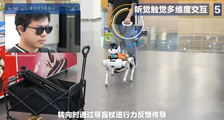 China Mobile Lingxi Cane Guida