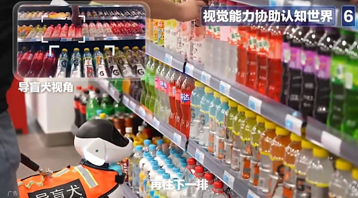 China Mobile Lingxi Cane Guida