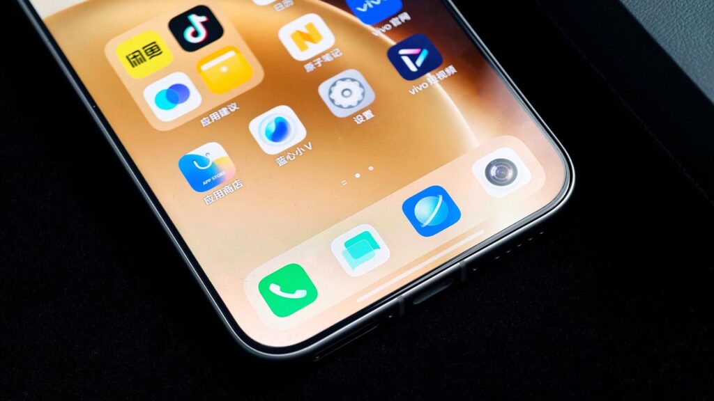 Vivo X300 Pro