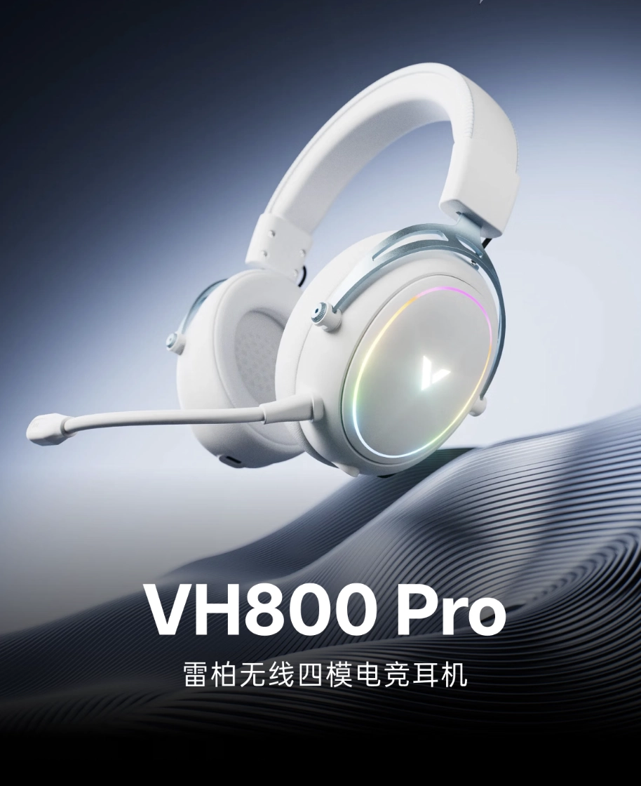Rapoo VH800Pro