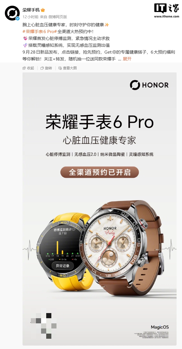 Honor Watch 6 Pro