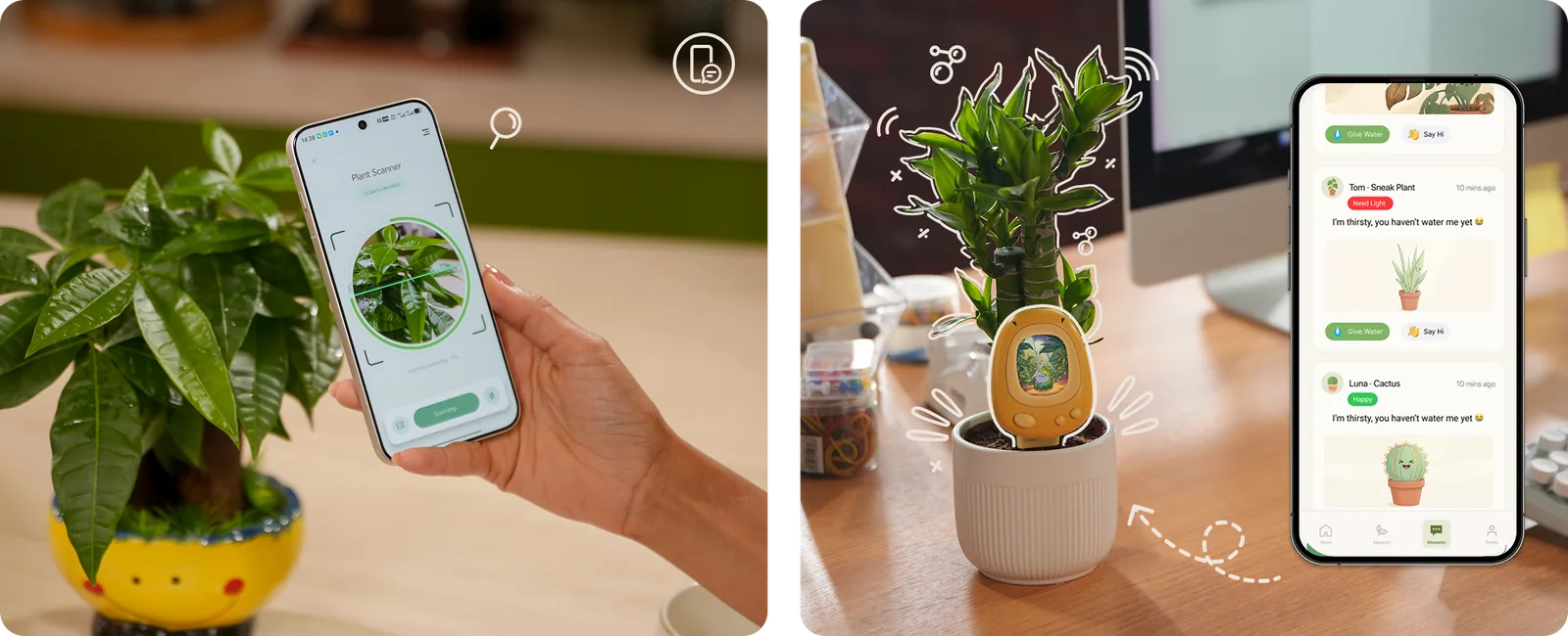 App PlantSenso con riconoscimento della pianta e avvisi