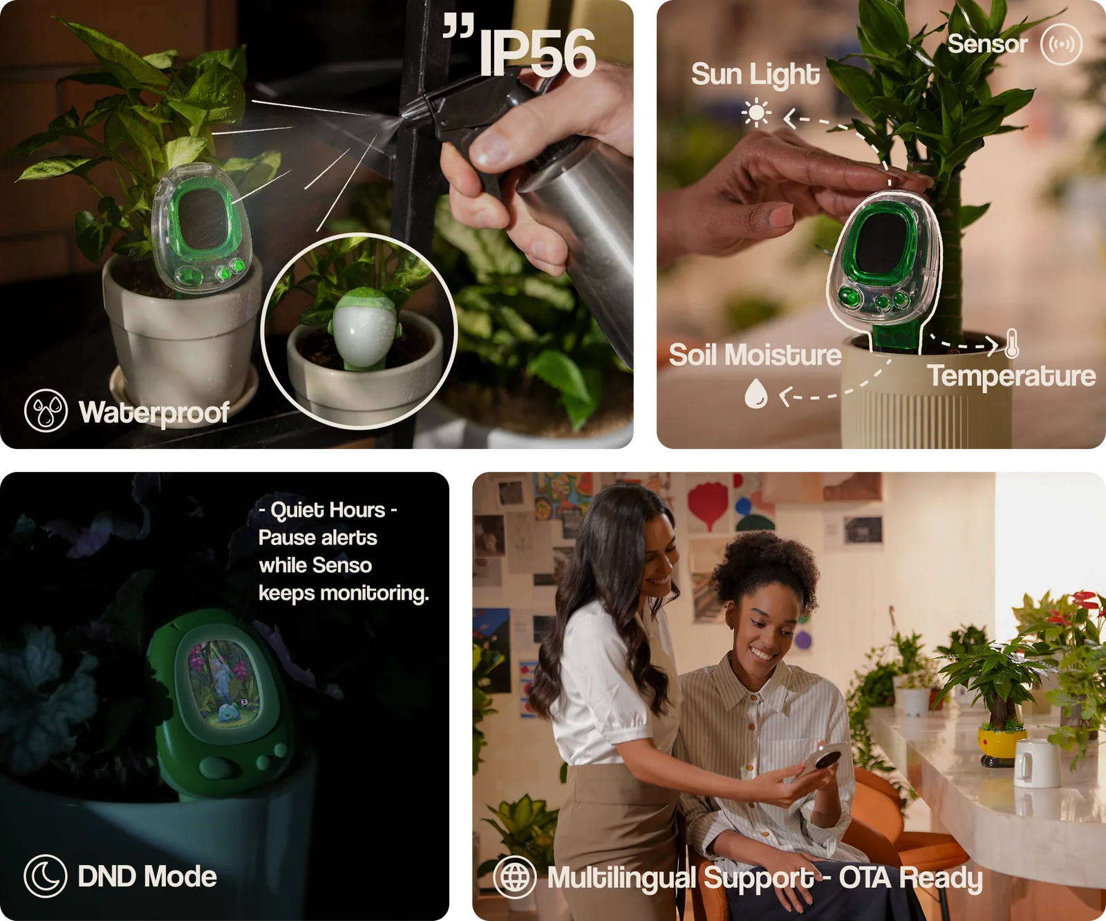 Funzioni di monitoraggio e protezione IP56 di PlantSenso