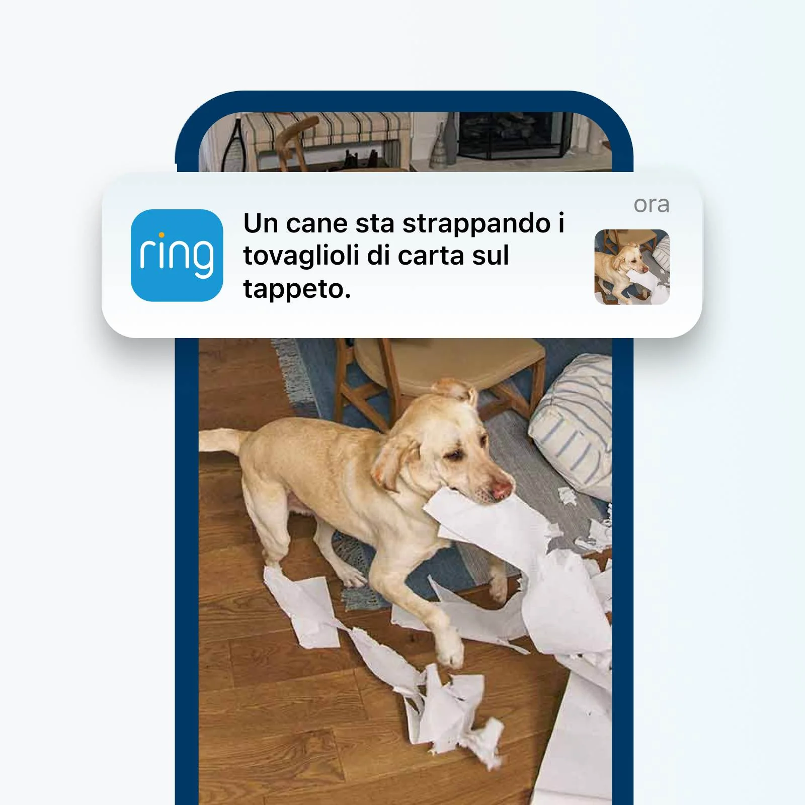 Notifica Ring con una descrizione video generata dall'intelligenza artificiale