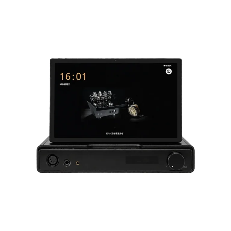 HIFIMAN HM2000 — foto 1