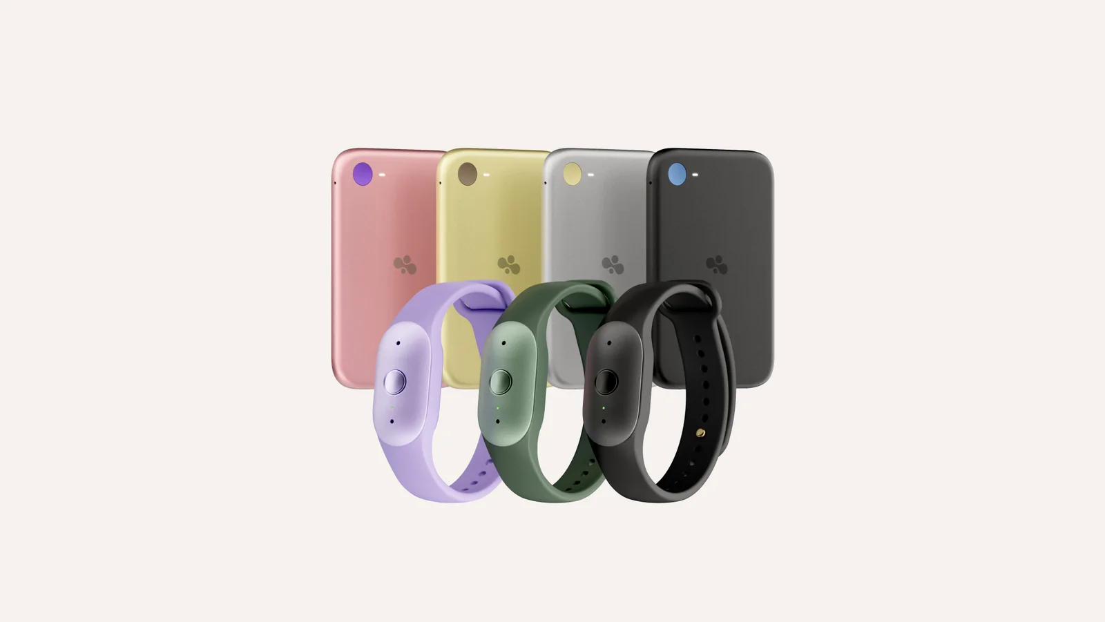 Gamma Amazon Bee Frontier ed Eclipse in varie colorazioni