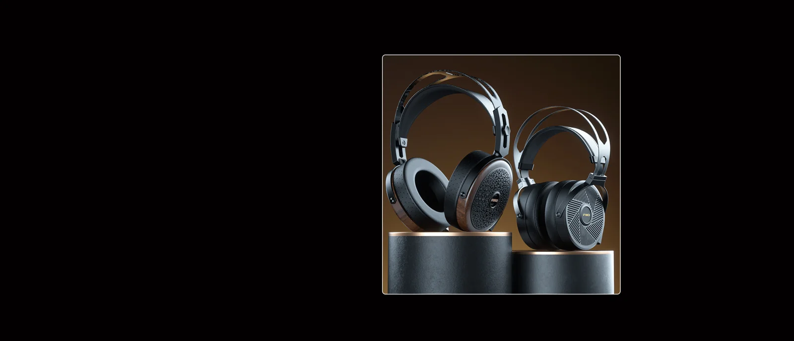 FiiO FT15, dettaglio dei padiglioni