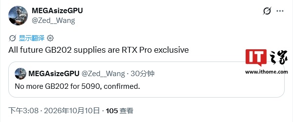 NVIDIA potrebbe riservare il chip GB202 alle RTX PRO Blackwell