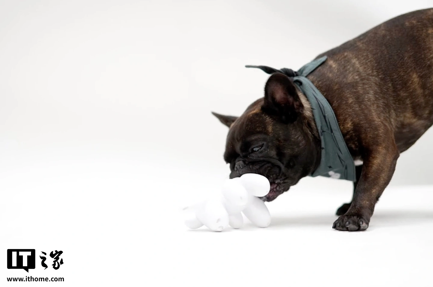 Tesla Dog Mode Chew Toy